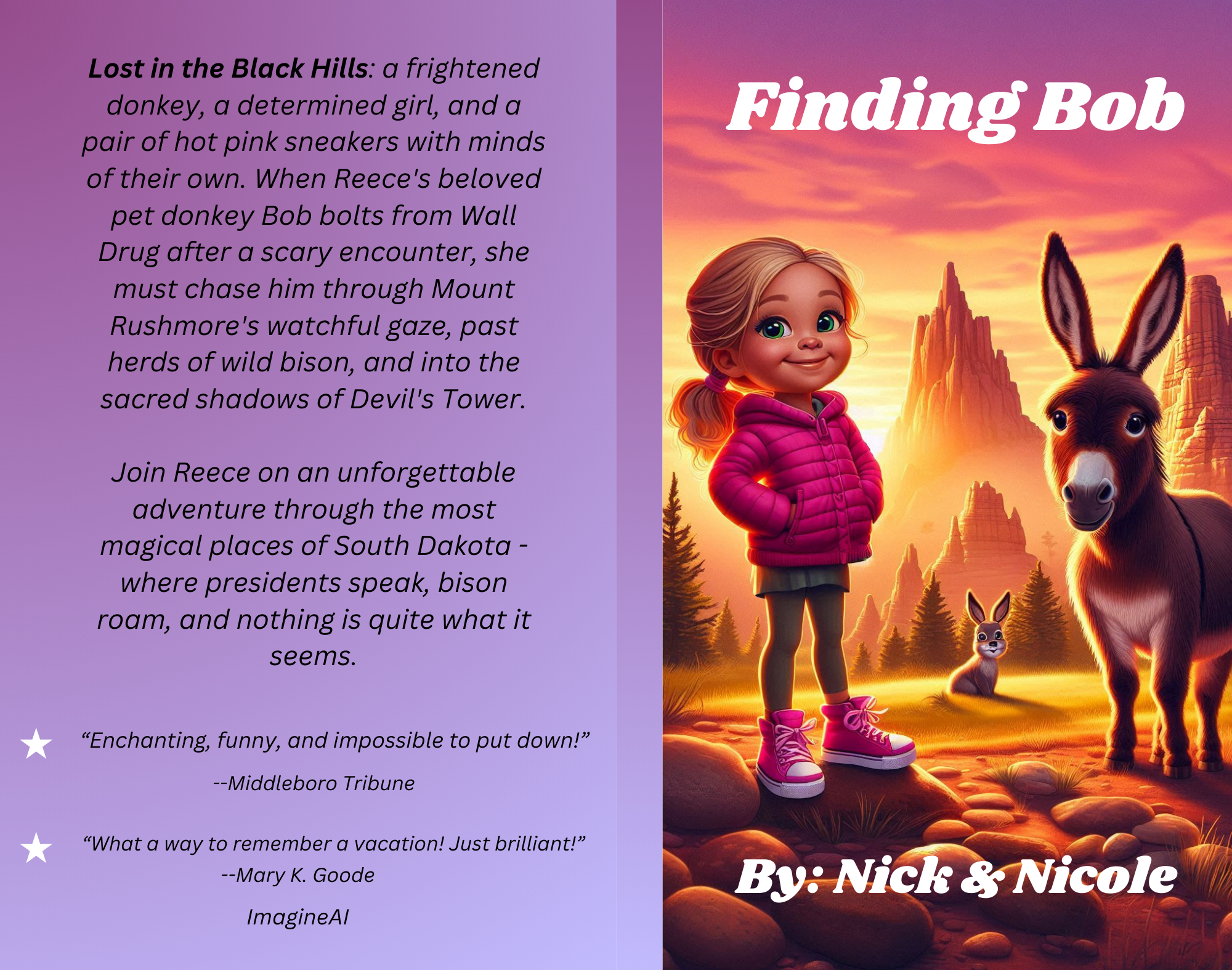 Student-authored book cover